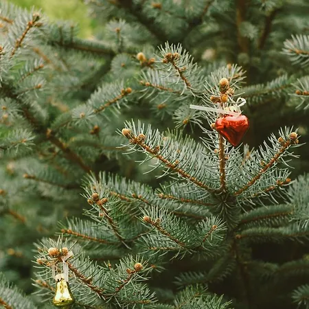 Doganin Kalbindeki Eviniz-6 Kisi Apartment Gemlik