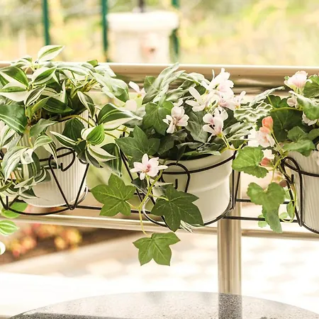 Doganin Kalbindeki Eviniz-6 Kisi