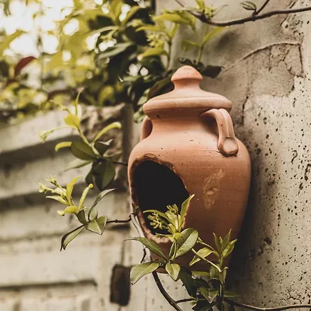 Doganin Kalbindeki Eviniz-6 Kisi Apartment *