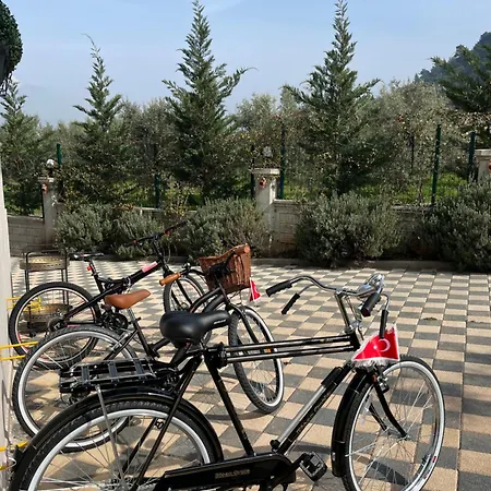 Doganin Kalbindeki Villaniz-6 Kisilik Gemlik