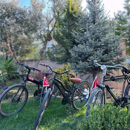 Doganin Kalbindeki Eviniz-6 Kisi * Gemlik