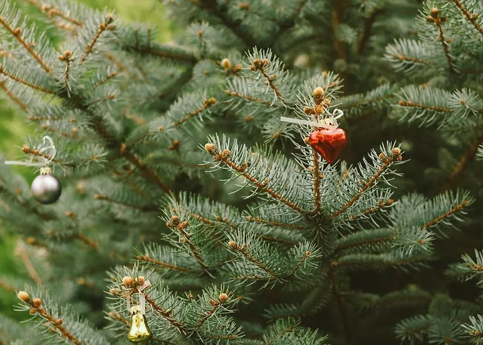 Doganin Kalbindeki Eviniz-6 Kisi 公寓 Gemlik