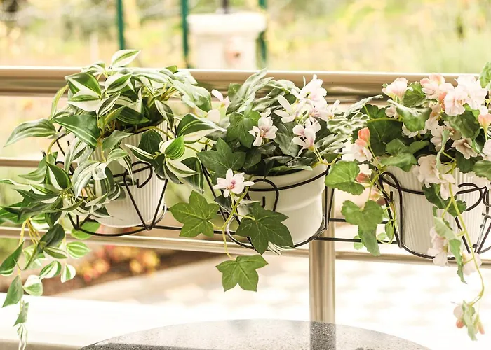 Doganin Kalbindeki Eviniz-6 Kisi