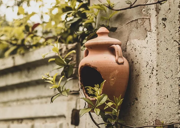 Doganin Kalbindeki Eviniz-6 Kisi 公寓 *